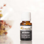 Aromatika Mür Buhurdanlık Kokusu