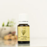 Aromatika Citronella Buhurdanlık Kokusu (Uçucu Yağ)