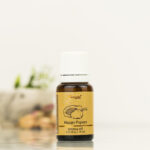 Aromatika Mango & Papaya Buhurdanlık Kokusu